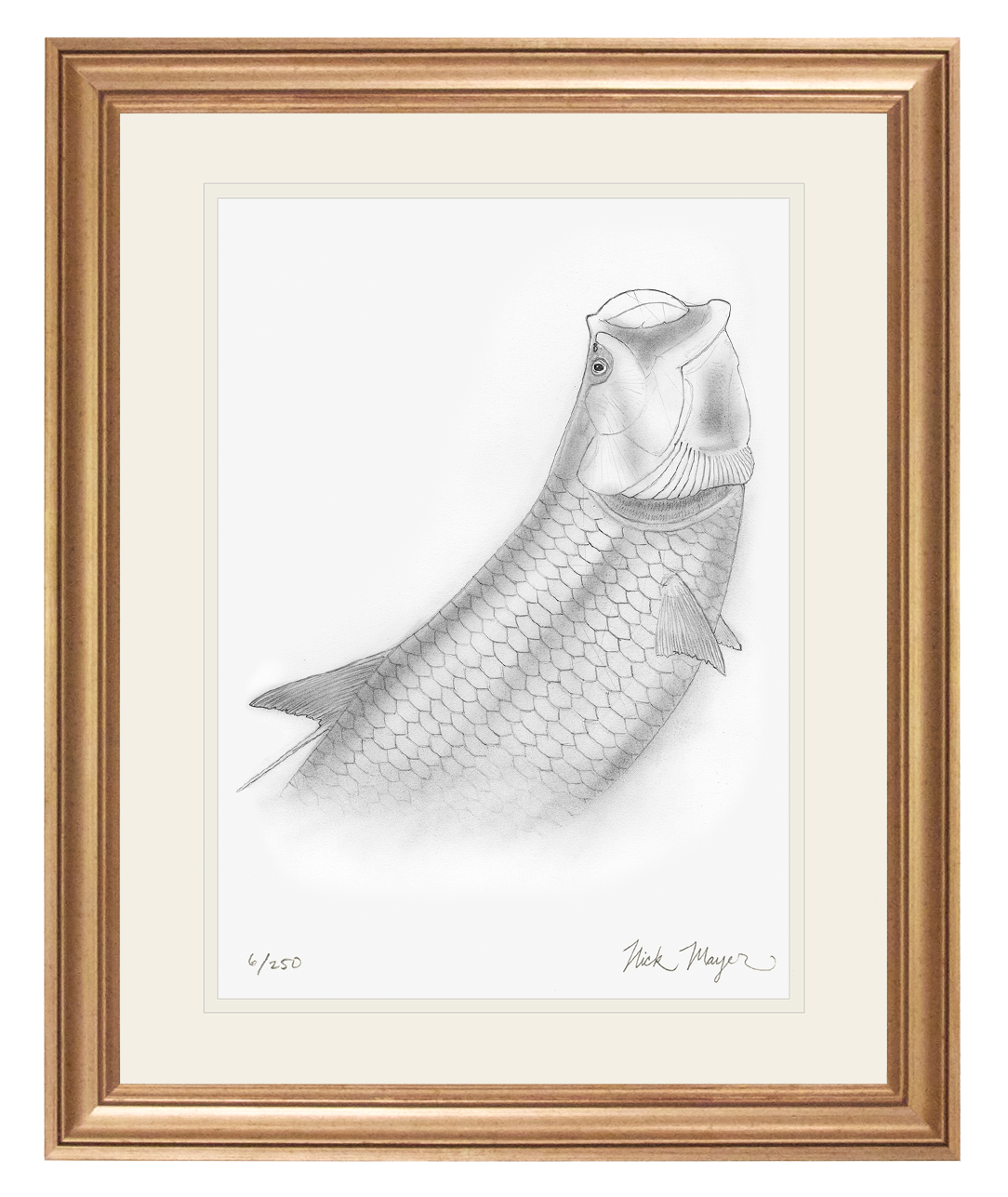 Tarpon Headshake 2 Limited Edition Print