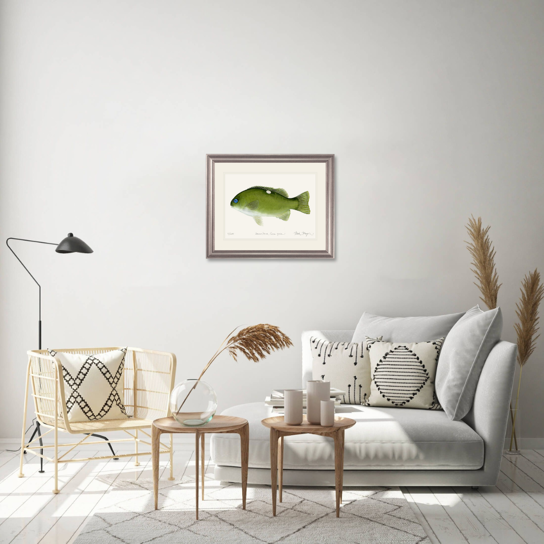 Opaleye Limited Edition Print