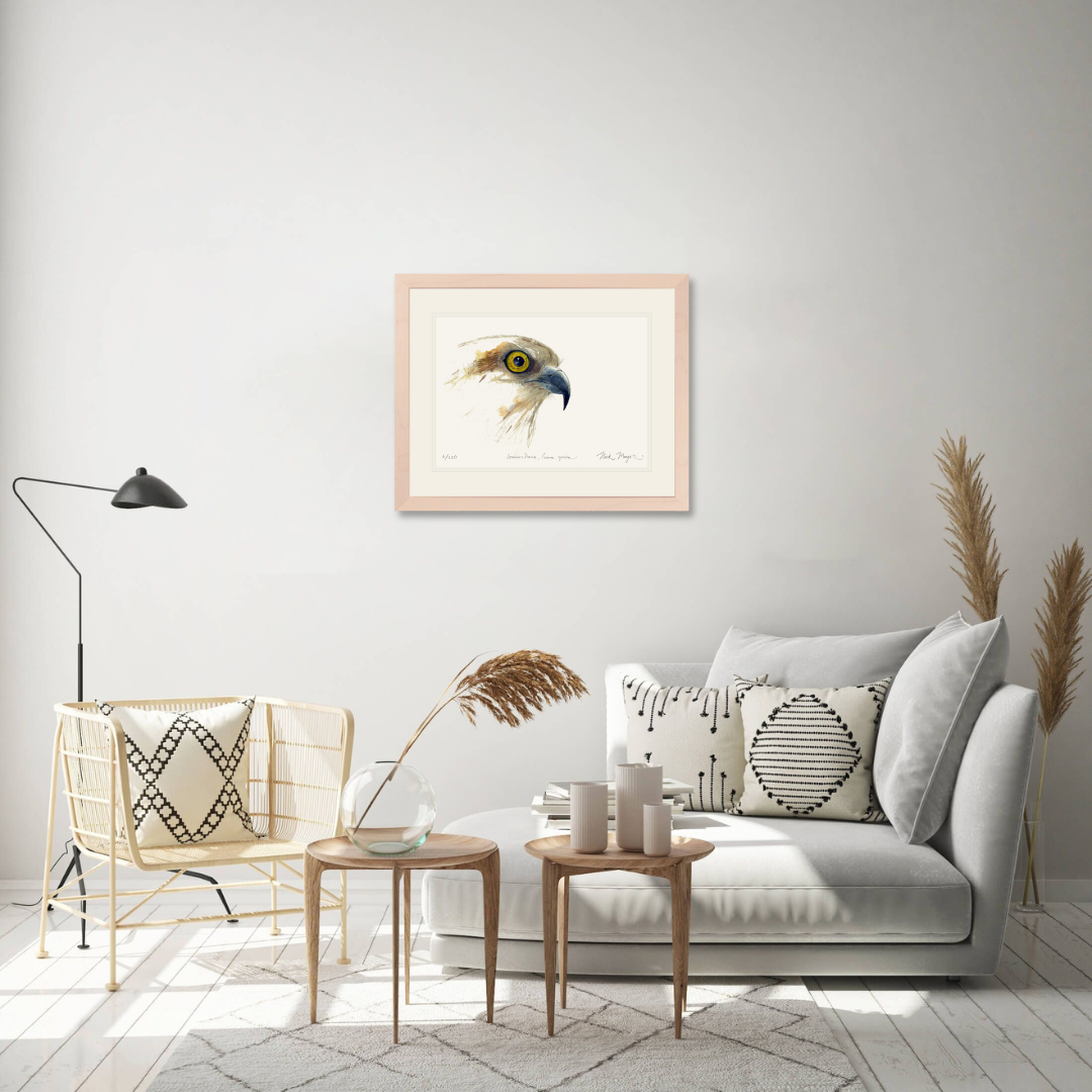 Osprey Study Limited Edition Print