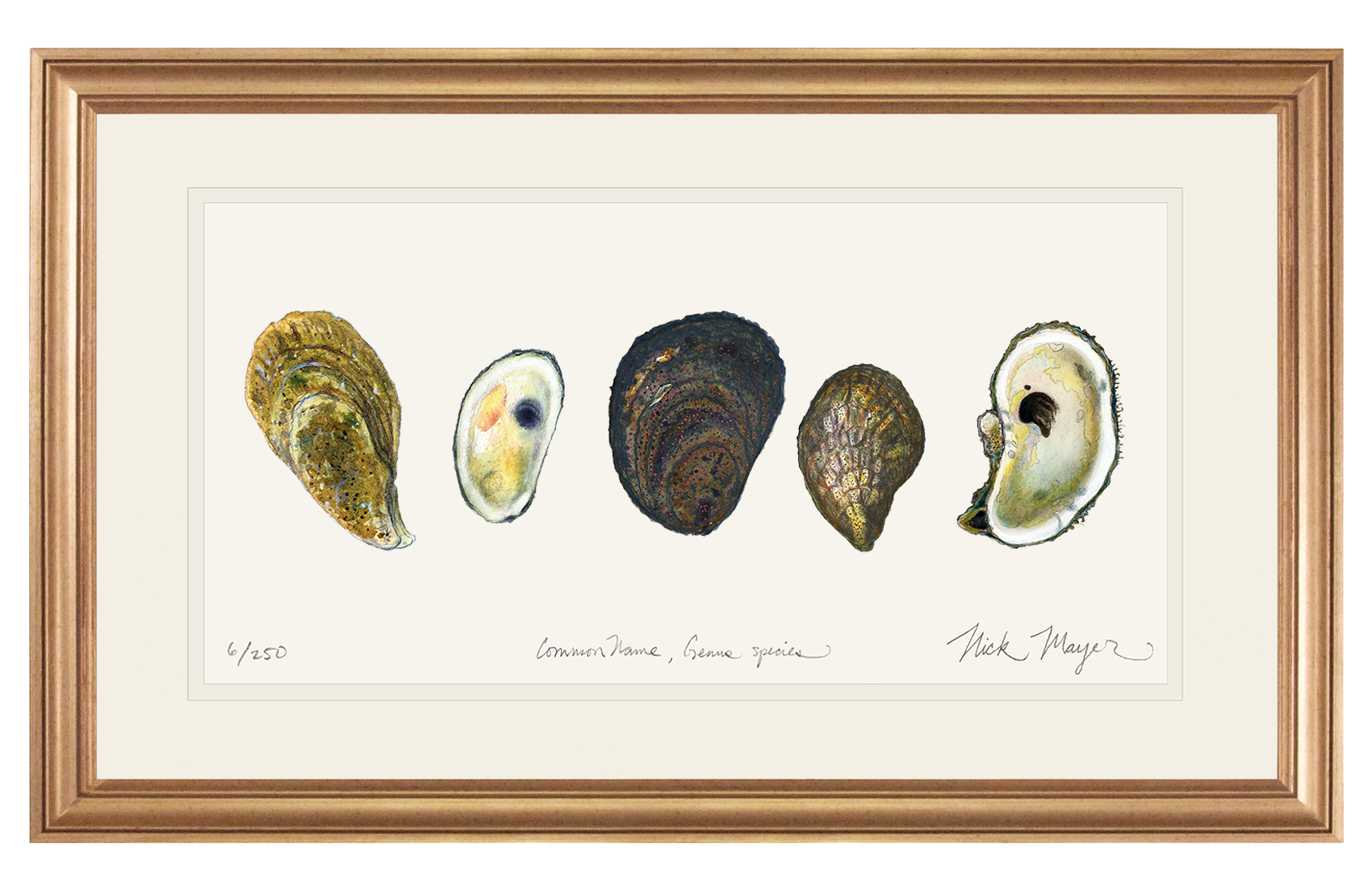 5 Oysters Limited Edition Print - NEW