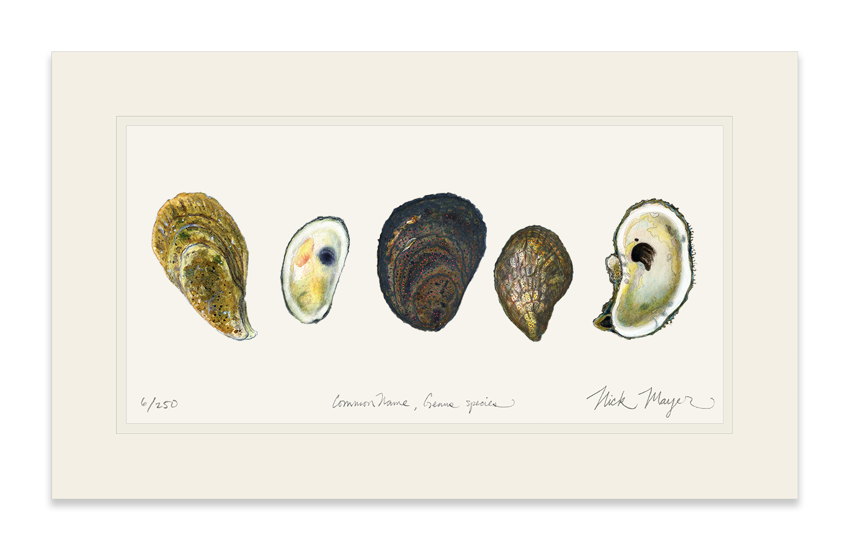 5 Oysters Limited Edition Print - NEW
