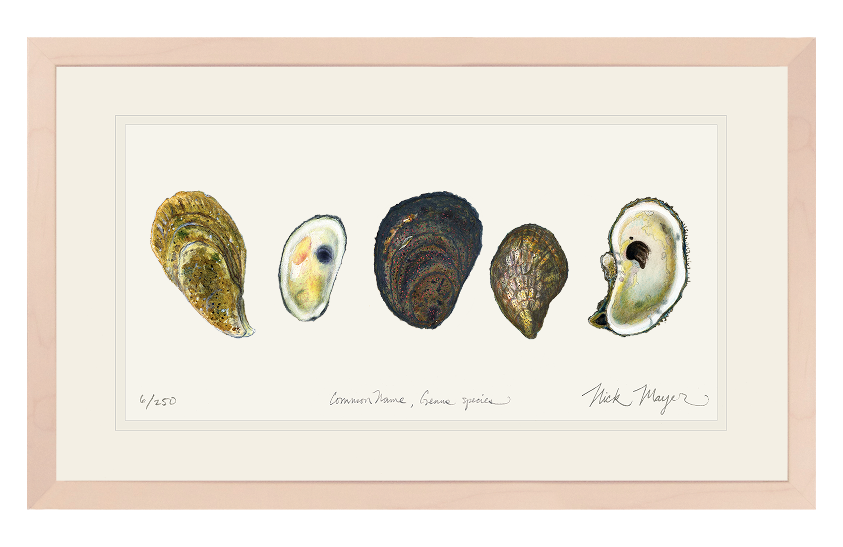 5 Oysters Limited Edition Print - NEW