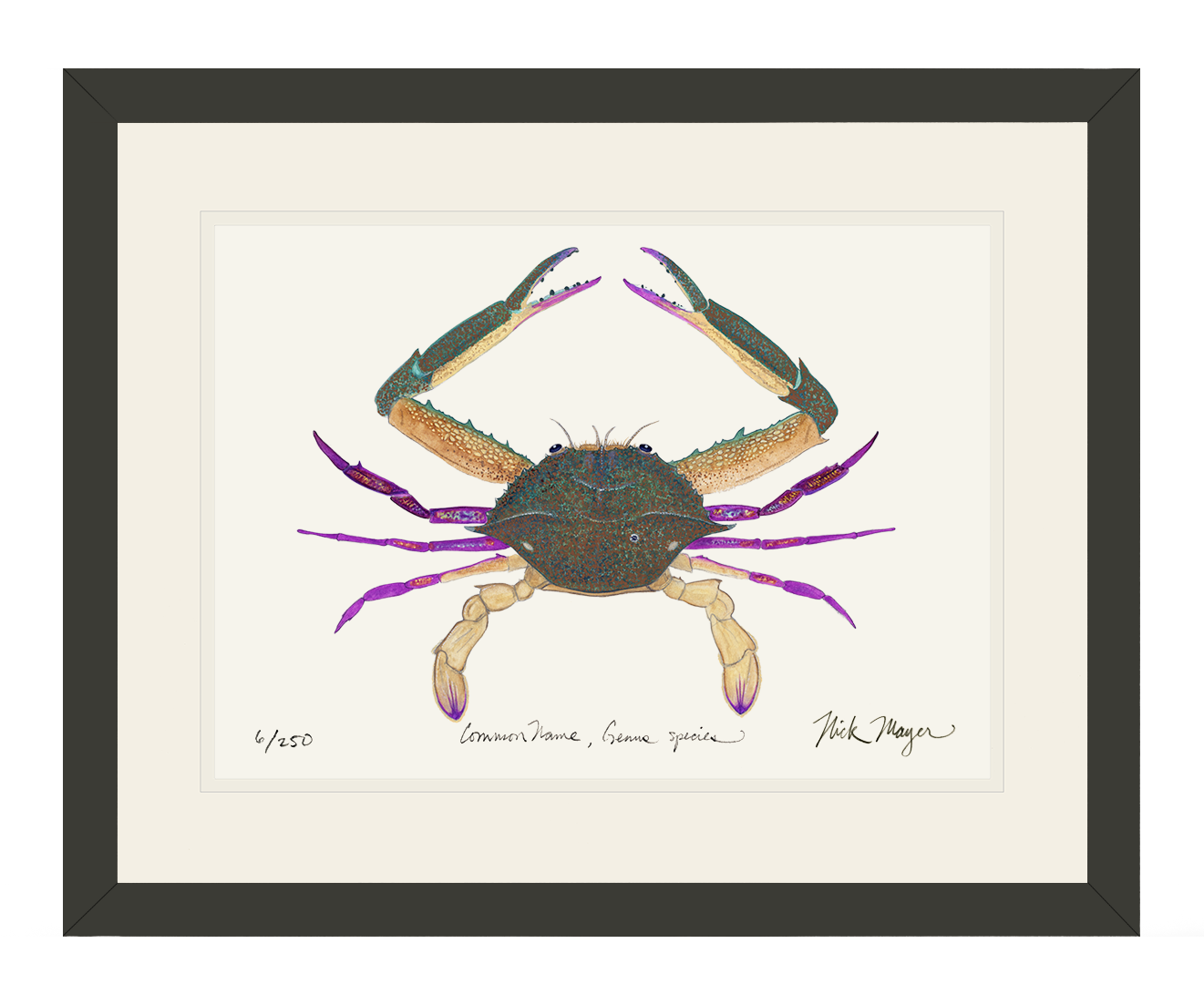 Pass Crab Limited Edition Print