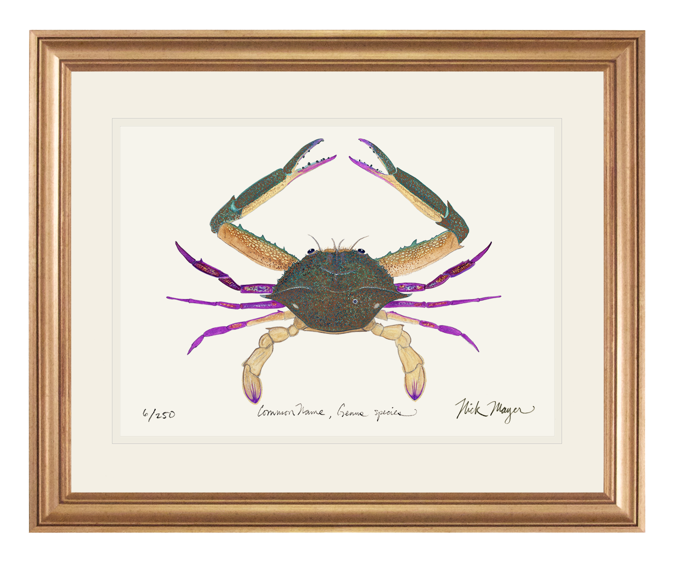 Pass Crab Limited Edition Print