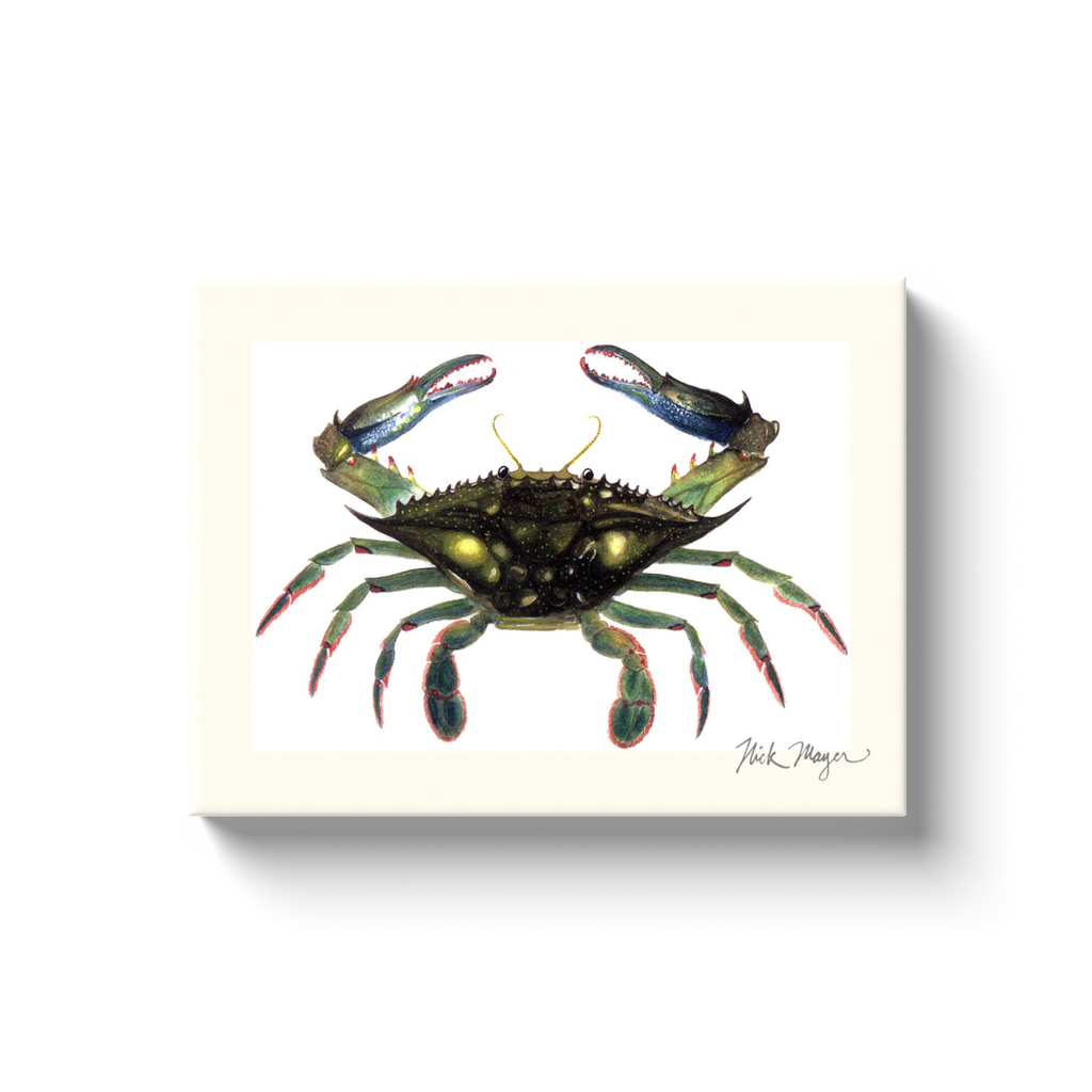 NEW! Blue Crab, Claws In Canvas Wrap
