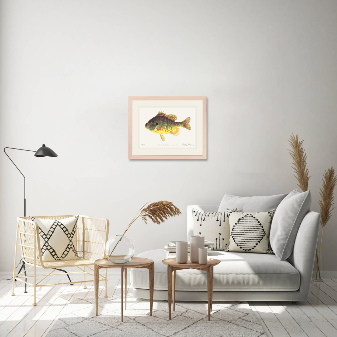 Pumpkinseed Limited Edition Print