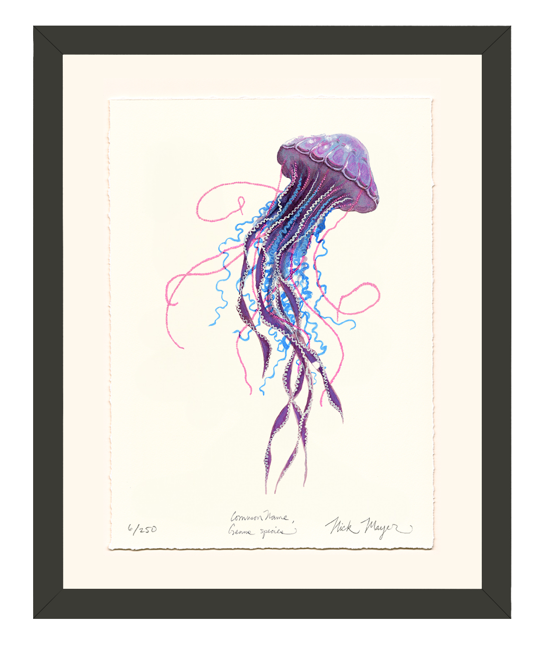 Purple Jellyfish II Limited Edition Print - Best Seller