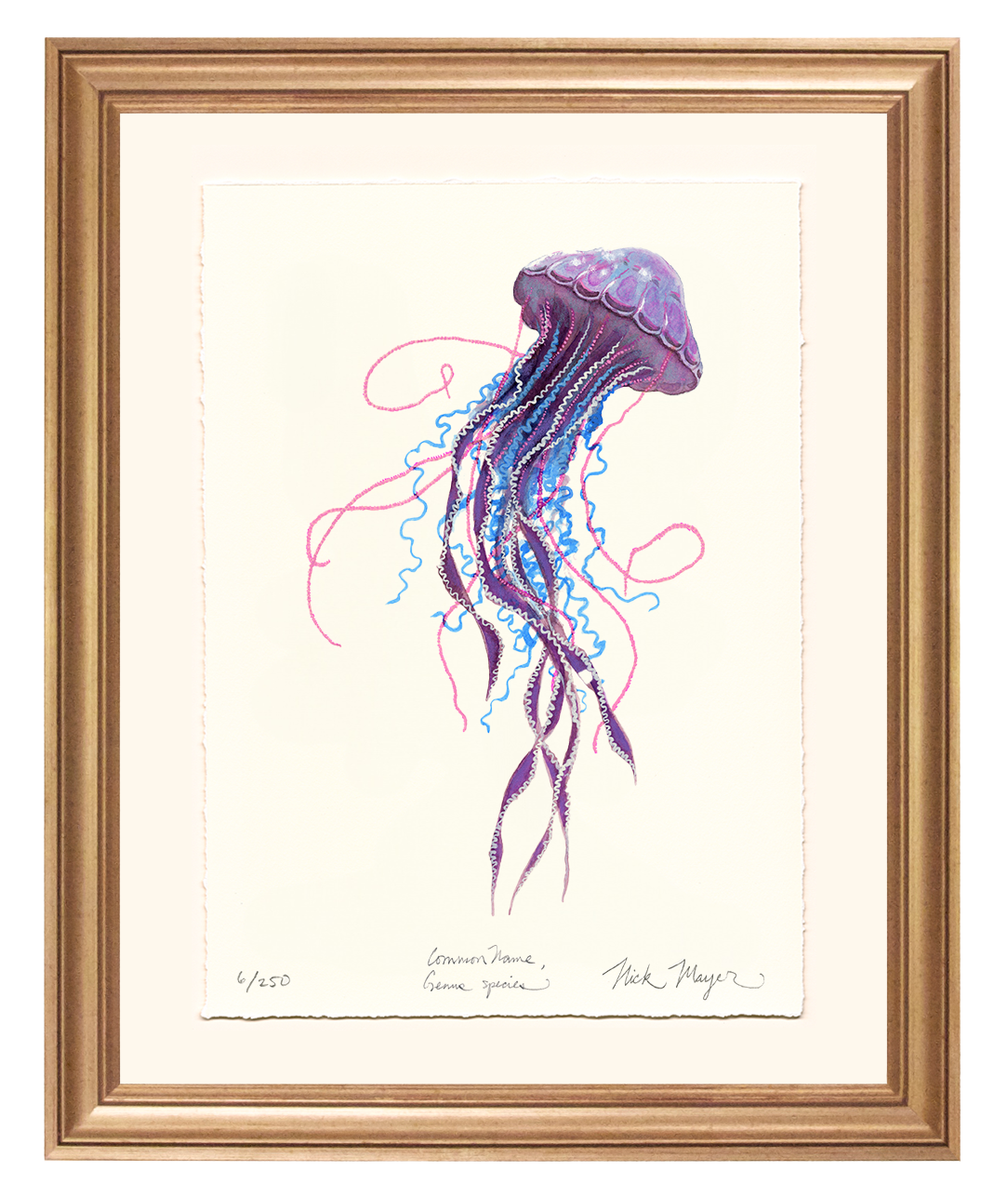 Purple Jellyfish II Limited Edition Print - Best Seller
