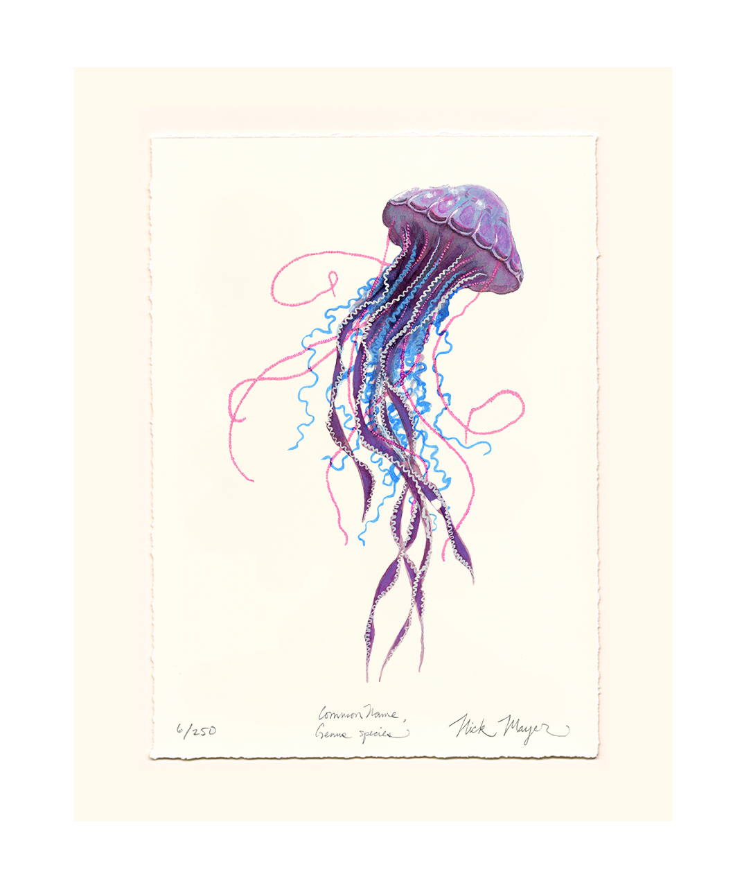 Purple Jellyfish II Limited Edition Print - Best Seller