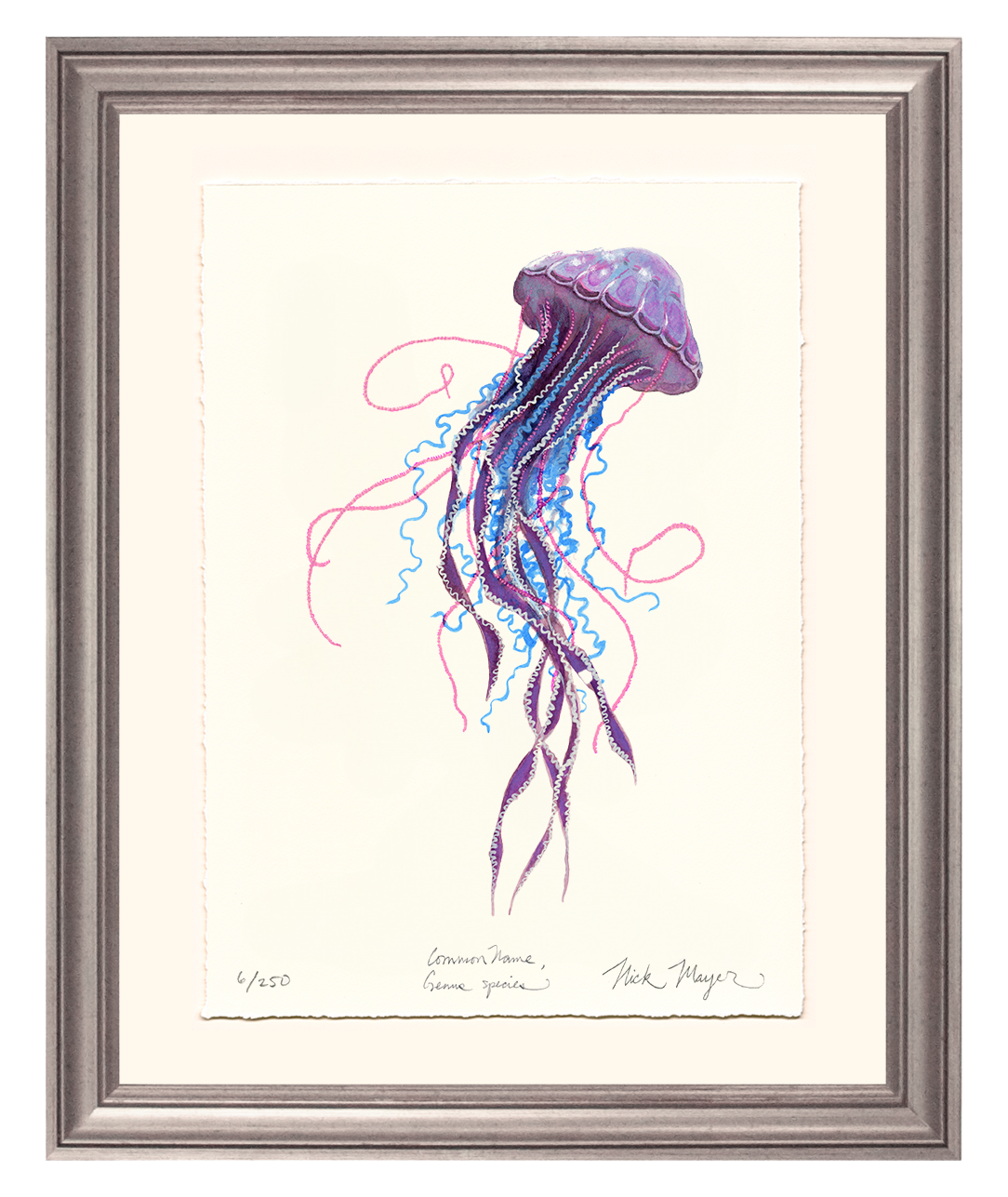 Purple Jellyfish II Limited Edition Print - Best Seller