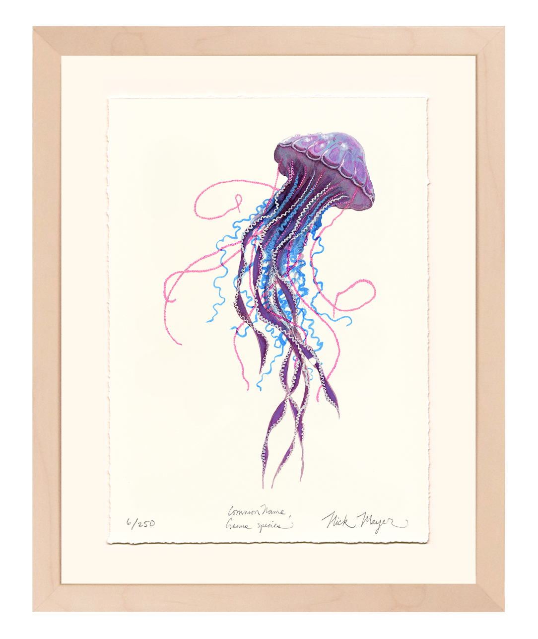Purple Jellyfish II Limited Edition Print - Best Seller