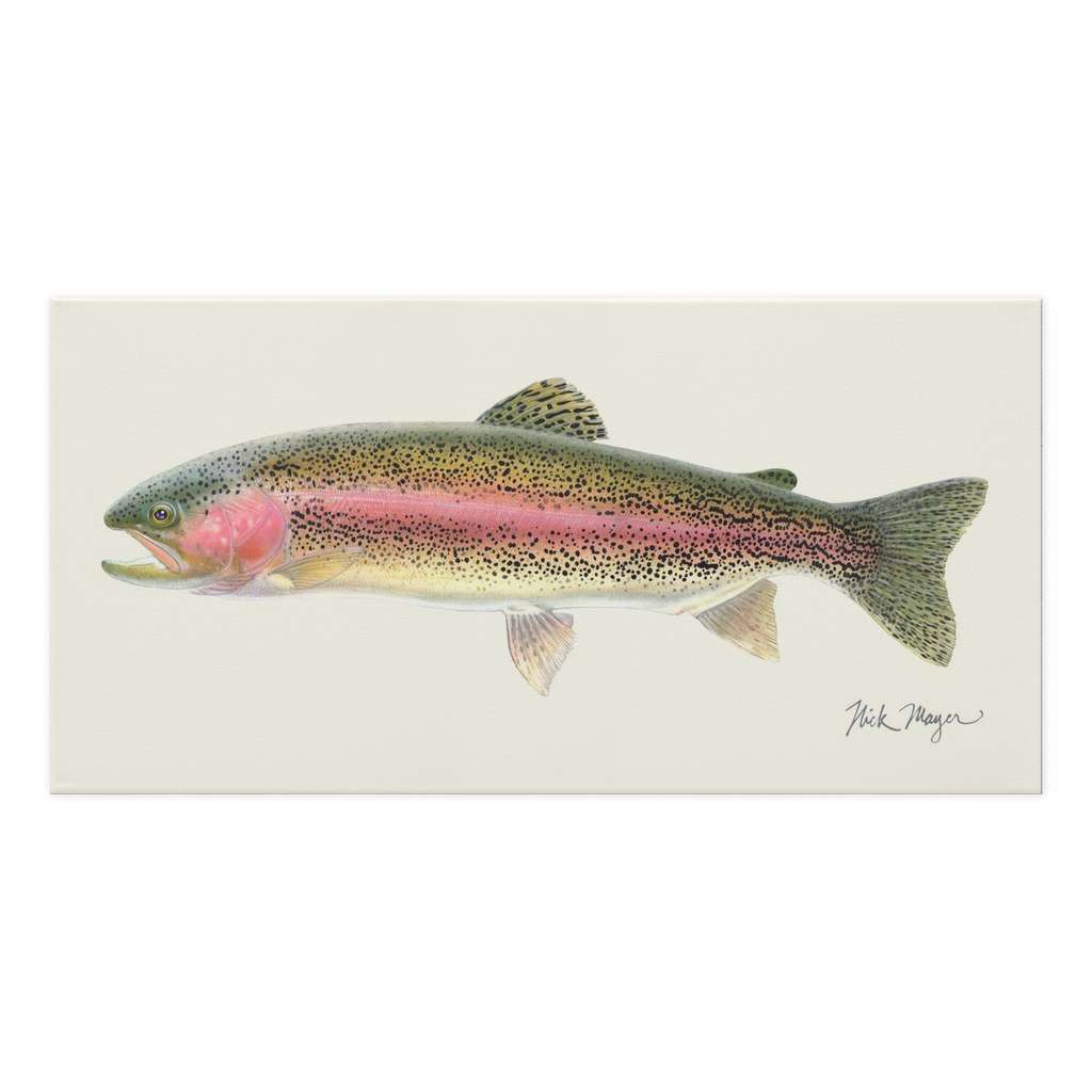 Stunning Rainbow Trout Canvas Wrap - High Quality, Gallery-Ready Decor