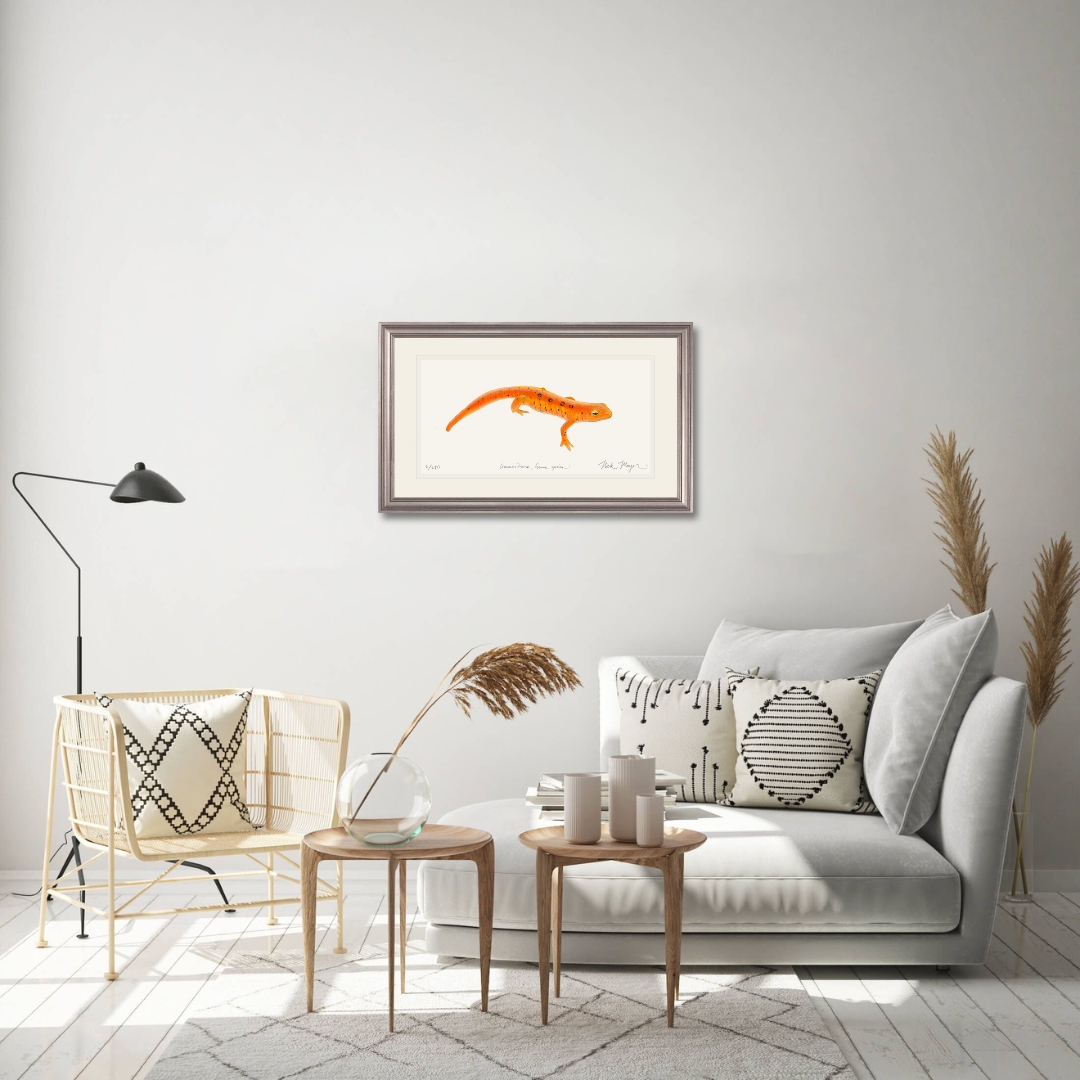 Red Eft Newt Limited Edition Print