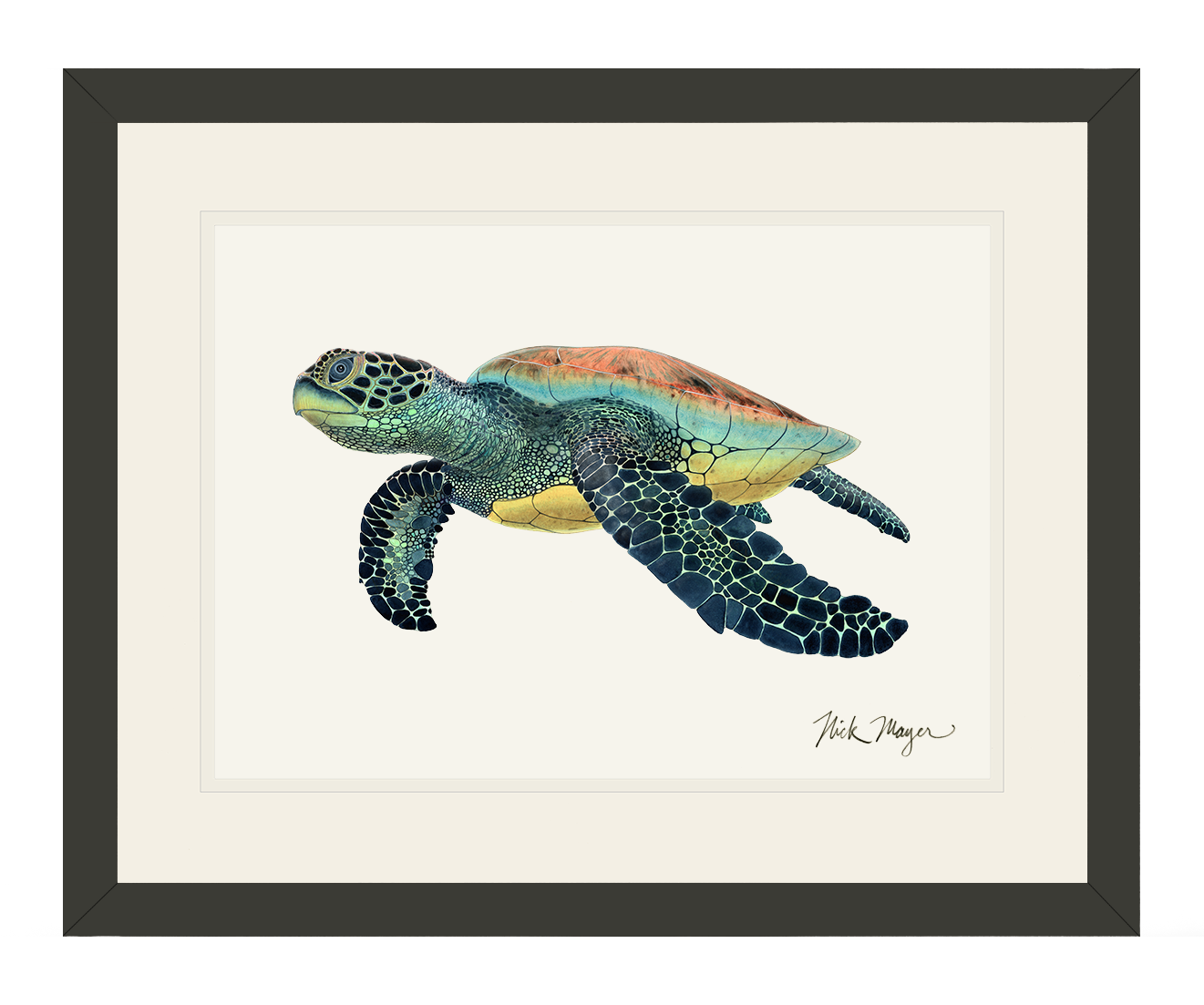 Green Sea Turtle II Limited Edition Print - NEW