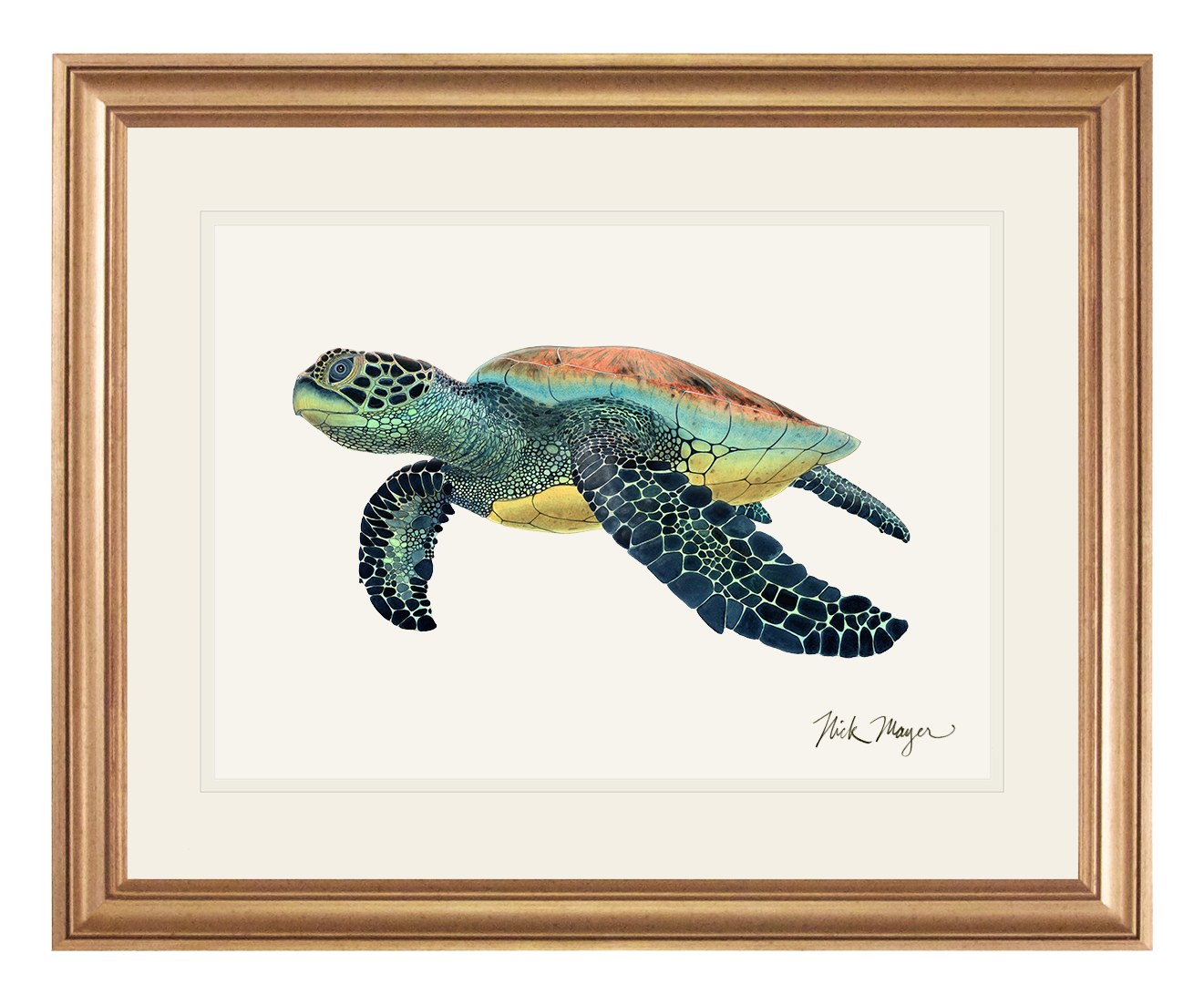 Green Sea Turtle II Limited Edition Print - NEW