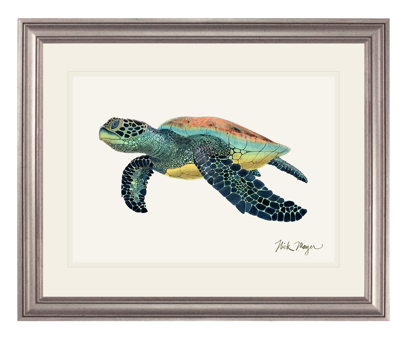 Green Sea Turtle II Limited Edition Print - NEW