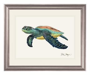 Green Sea Turtle II Print - NEW