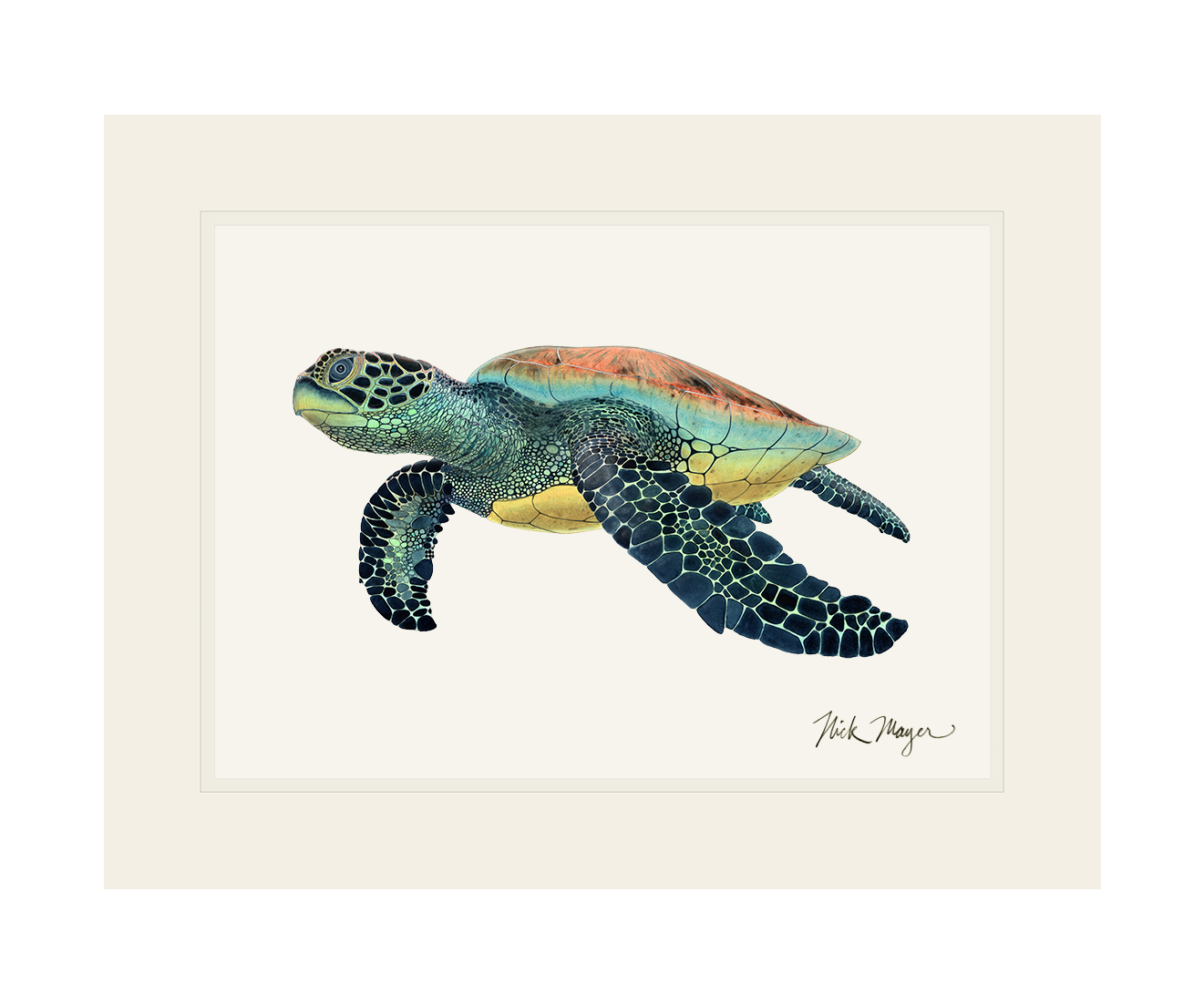 Green Sea Turtle II Limited Edition Print - NEW
