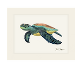 Green Sea Turtle II Print - NEW