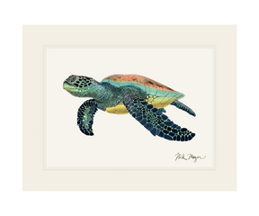 Green Sea Turtle II Print - NEW