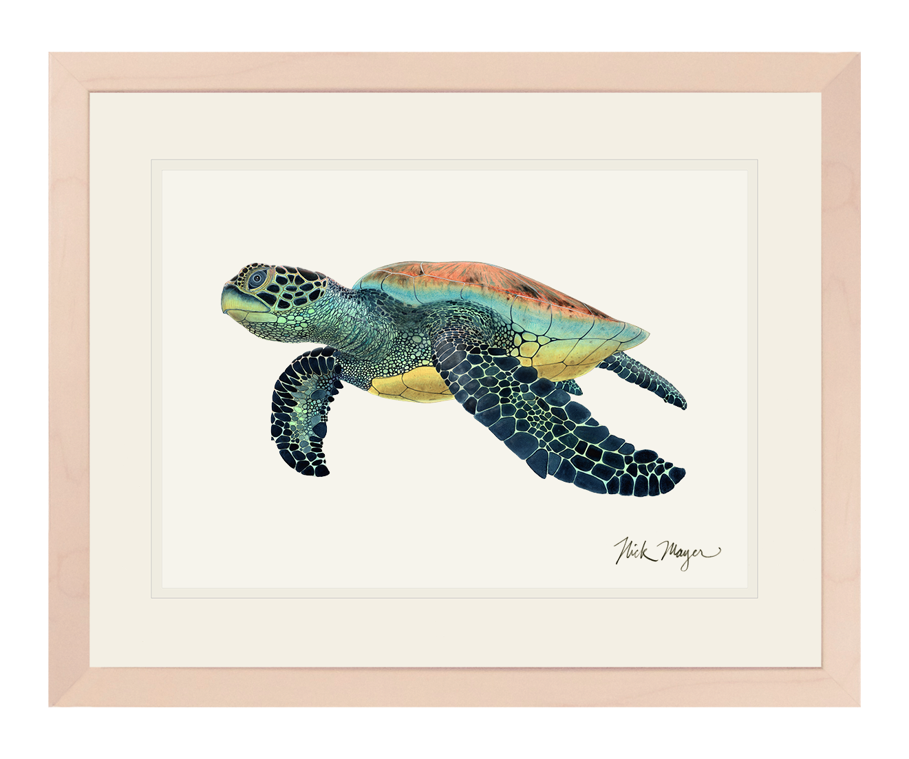 Green Sea Turtle II Limited Edition Print - NEW