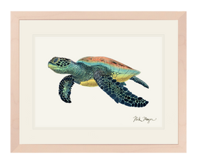 Green Sea Turtle II Print - NEW