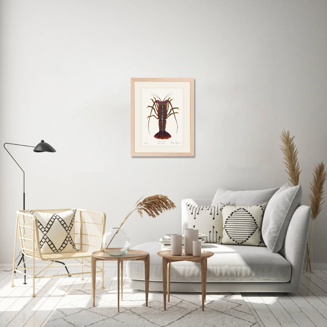 Spiny Lobster I Limited Edition Print