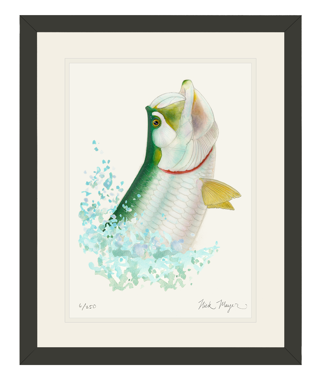 Tarpon Headshake Limited Edition Print