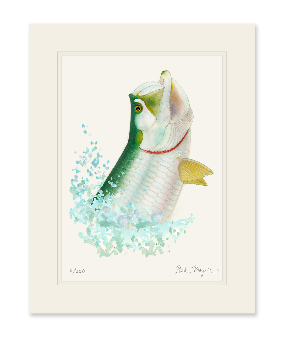 Tarpon Headshake Limited Edition Print