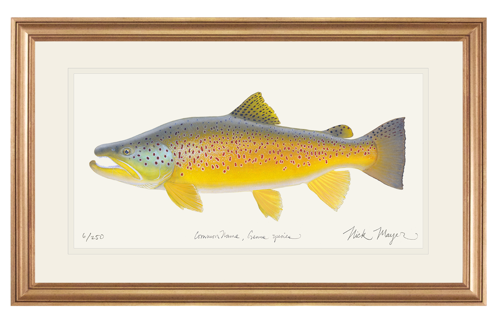 Brown Trout III Limited Edition Print, NEW for March 2026!