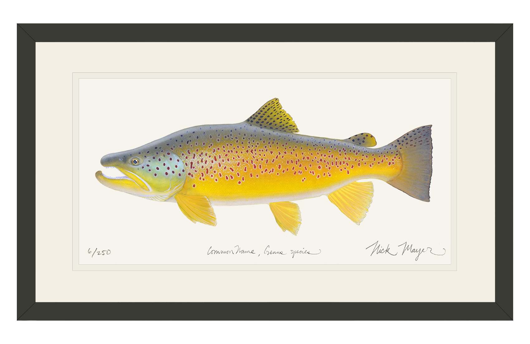 Brown Trout III Limited Edition Print, NEW for March 2026!