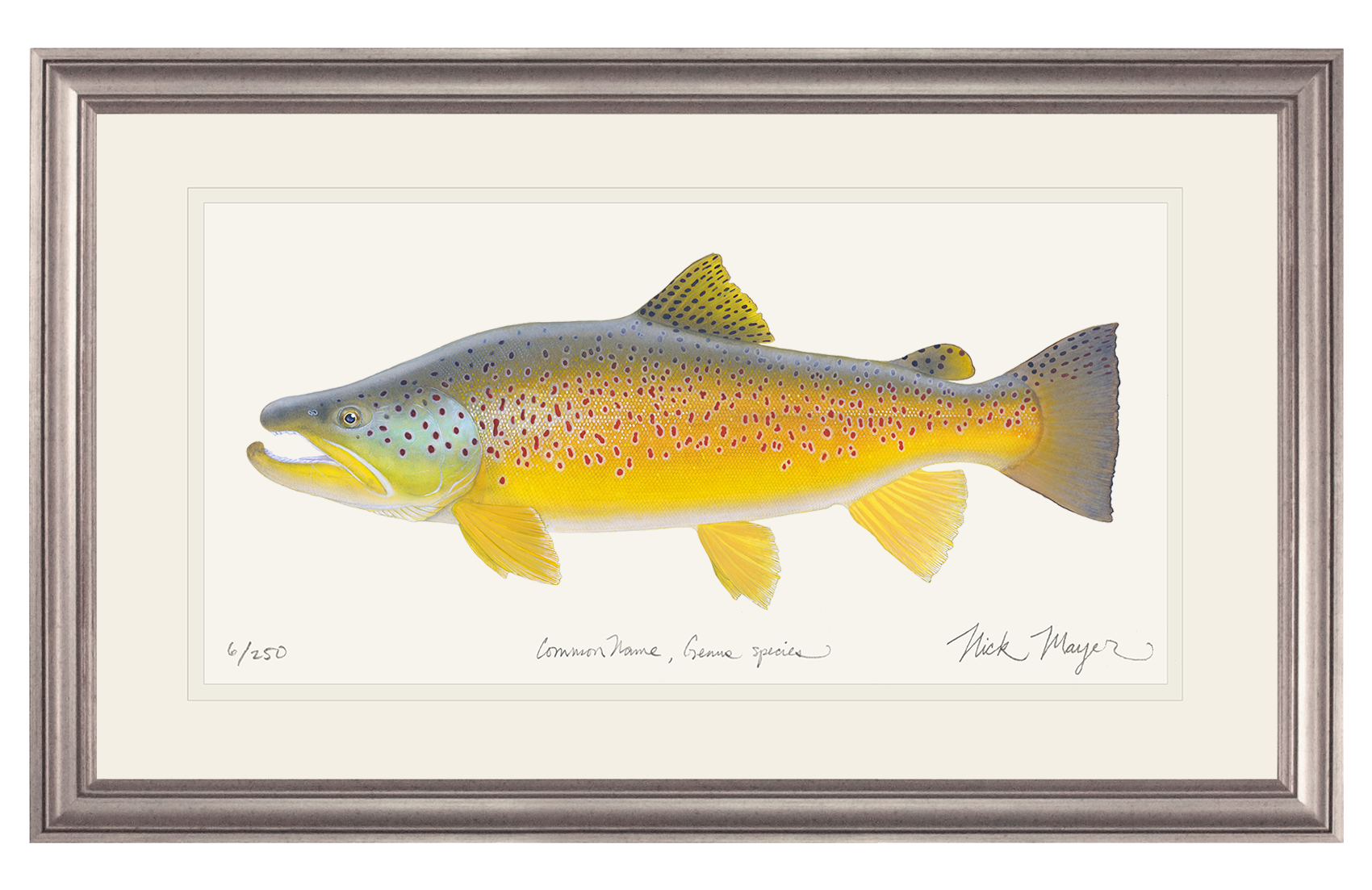 Brown Trout III Limited Edition Print, NEW for March 2026!