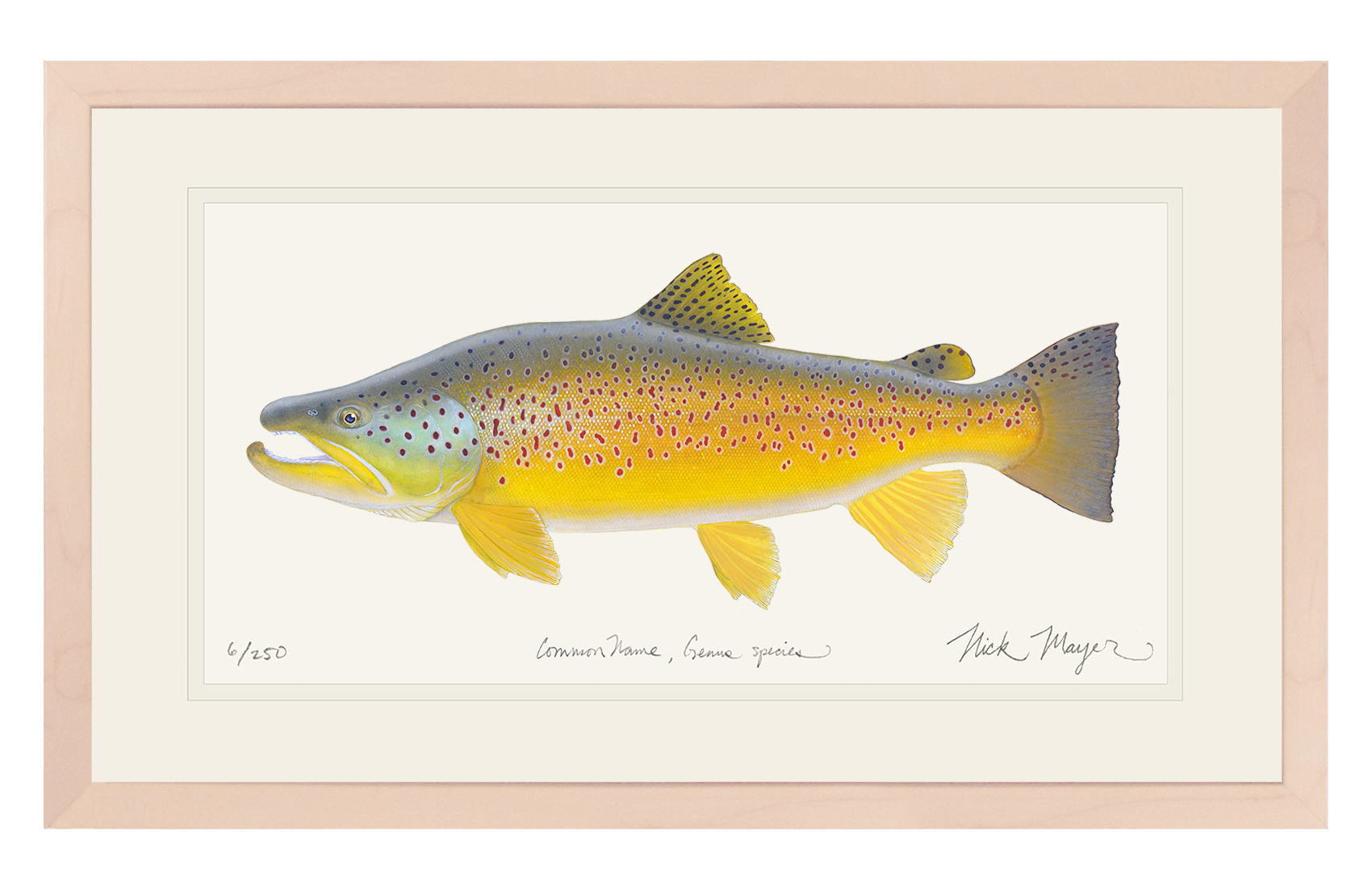 Brown Trout III Limited Edition Print, NEW for March 2026!