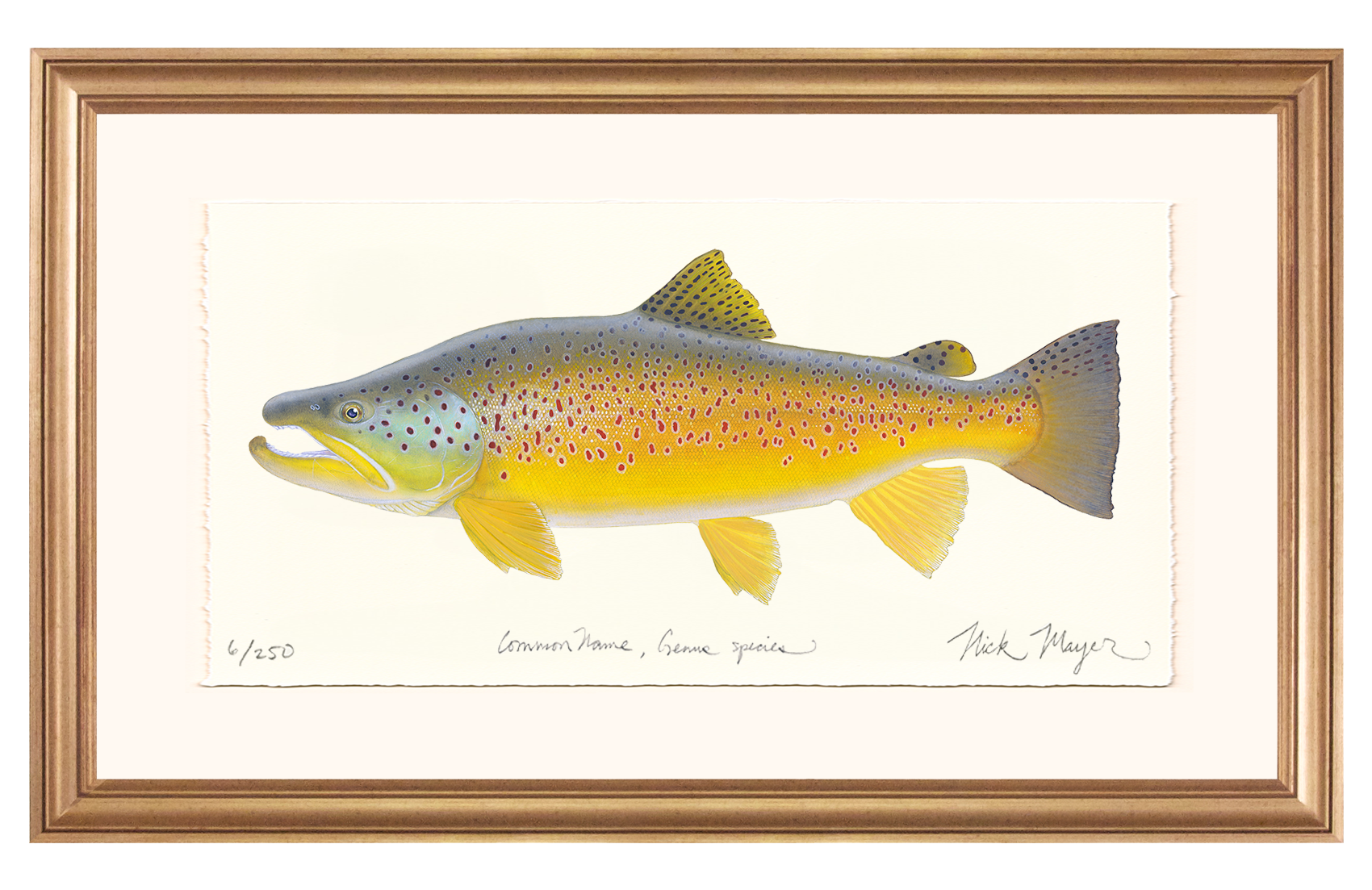 Brown Trout III Limited Edition Print, NEW for March 2026!