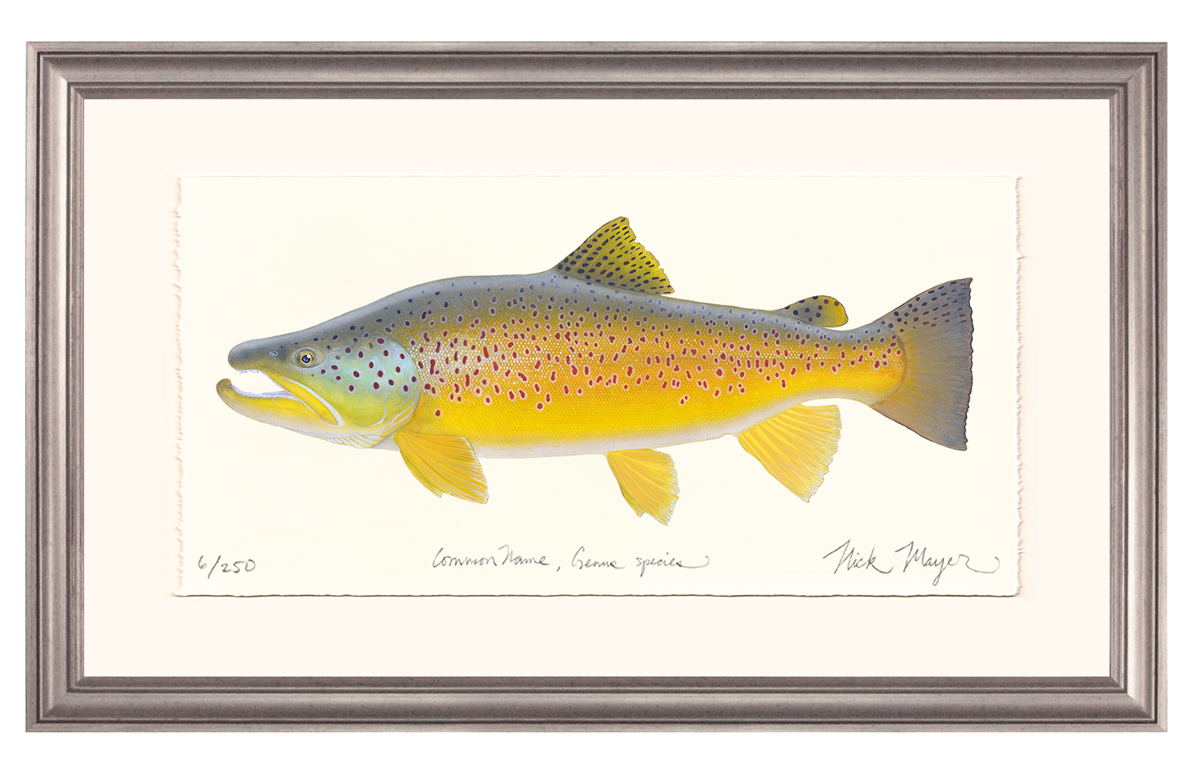Brown Trout III Limited Edition Print, NEW for March 2026!