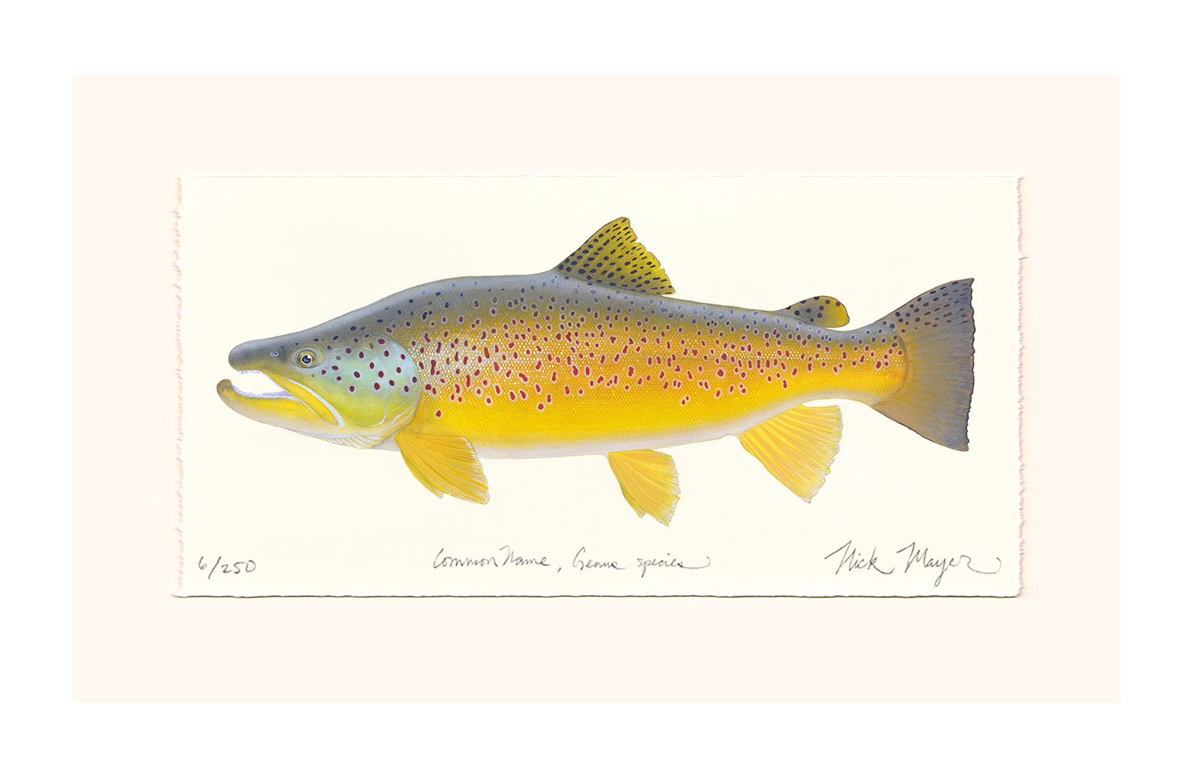 Brown Trout III Limited Edition Print, NEW for March 2026!
