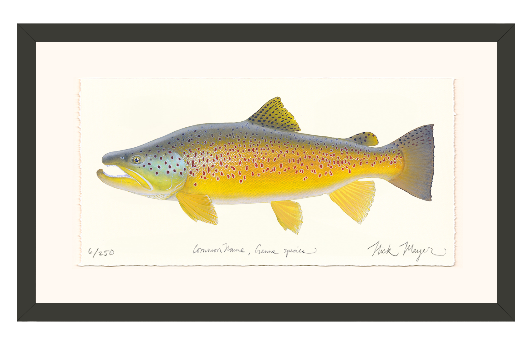Brown Trout III Limited Edition Print, NEW for March 2026!