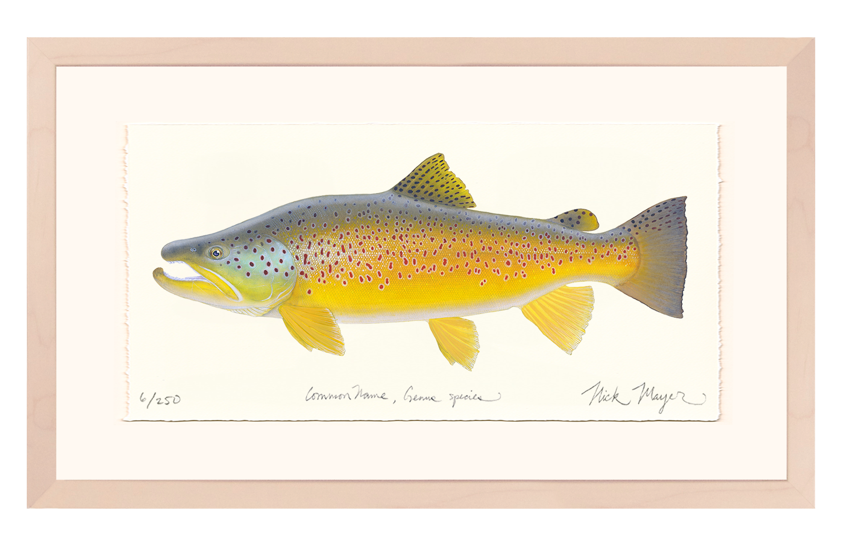 Brown Trout III Limited Edition Print, NEW for March 2026!