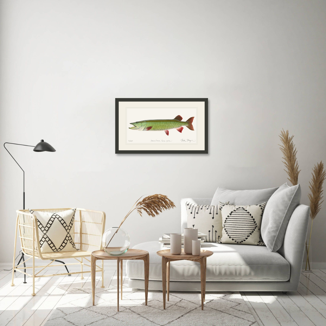 Trophy Muskie Print