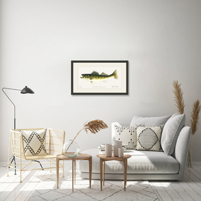 Walleye Print