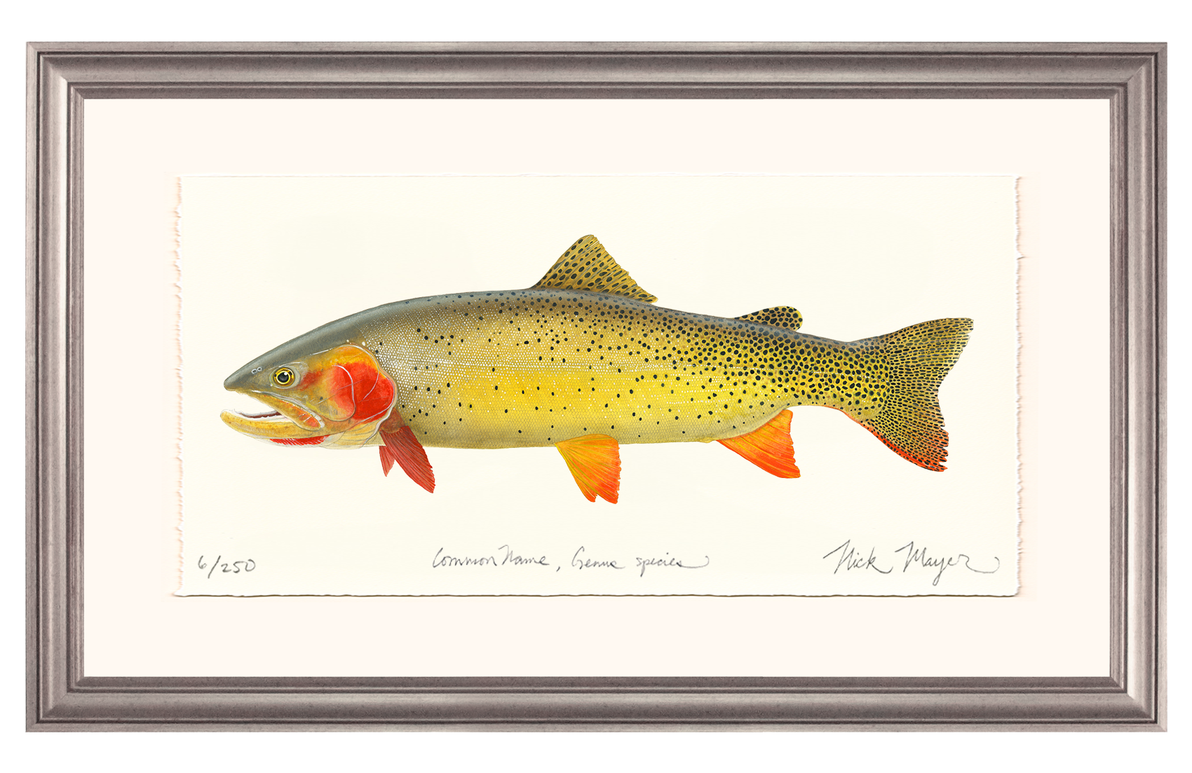 Cutthroat Trout 1 Limited Edition Print - NEW for Holiday 2025!