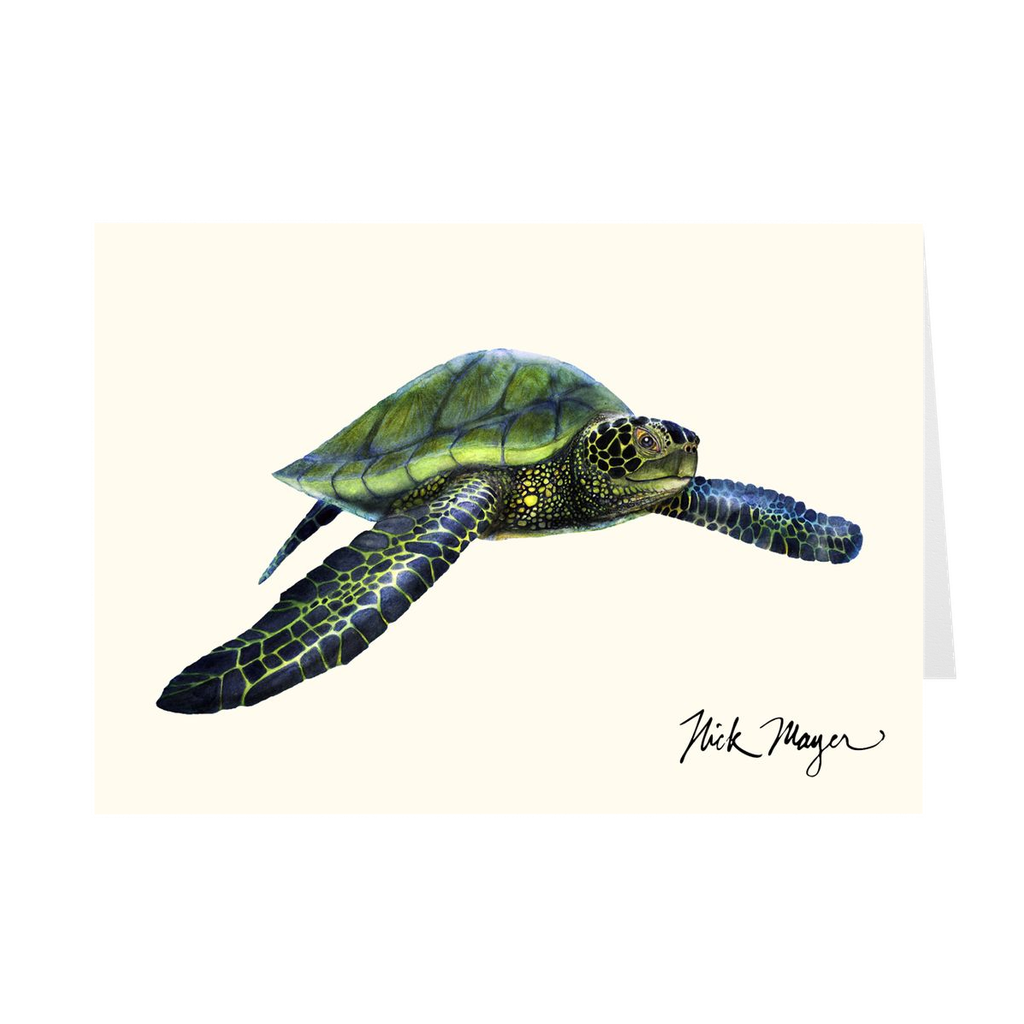 Green Sea Turtle Notecards