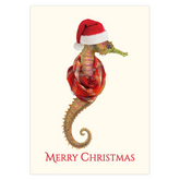 Estuary Elf Christmas Cards
