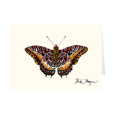 Black Bordered Charaxes Notecards