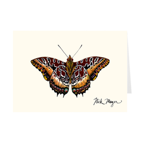 Black Bordered Charaxes Notecards