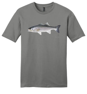 Striped Bass Casual Tee, NEW