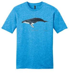 Humpback Whale Casual Tee