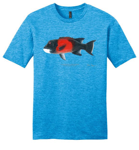Sheephead Male Casual Tee