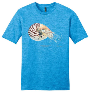 Chambered Nautilus Casual Tee