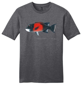 Sheephead Male Casual Tee
